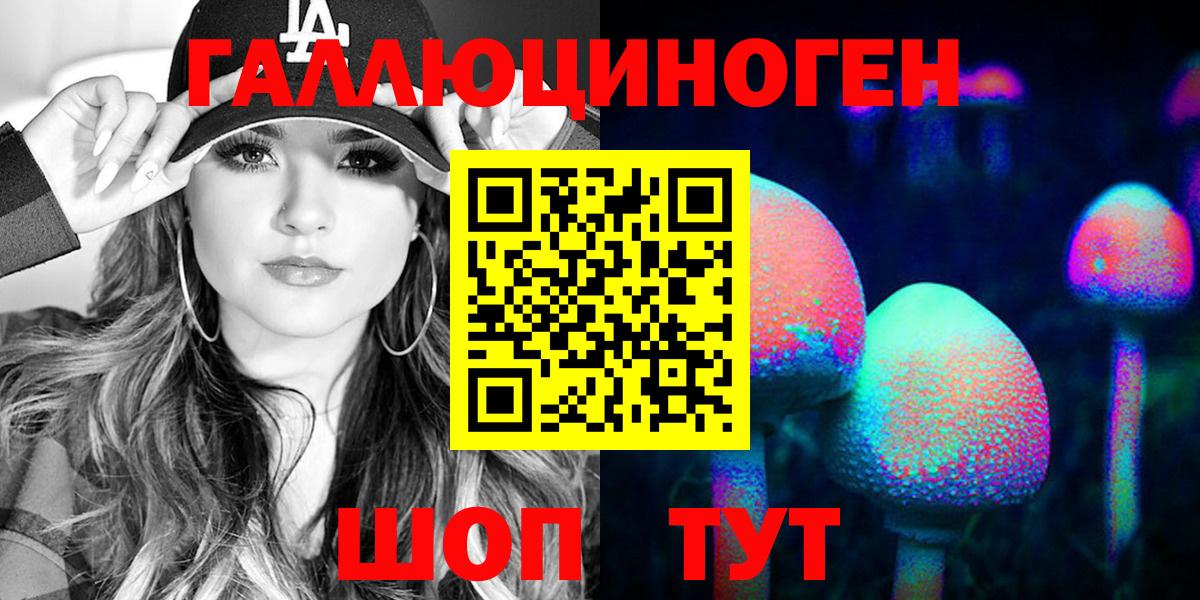 Галлюциногенные грибы Psilocybine cubensis Липецк